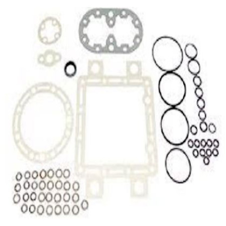 Set garnituri pentru compresor Thermo King 300247